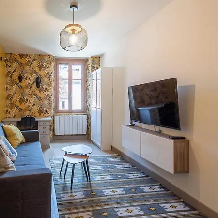 Reflet Des Alpes Furnished Flat Apartment Annecy